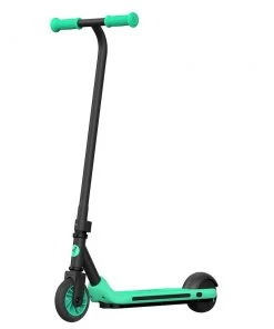 Ninebot By Segway Kickscooter Zing A6 - Dark Grey Green